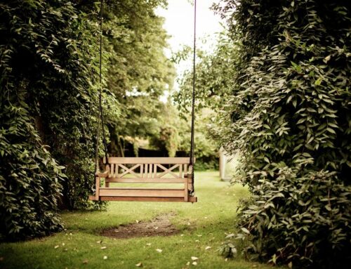 Cómo acondicionar el jardín de tu alojamiento para el otoño