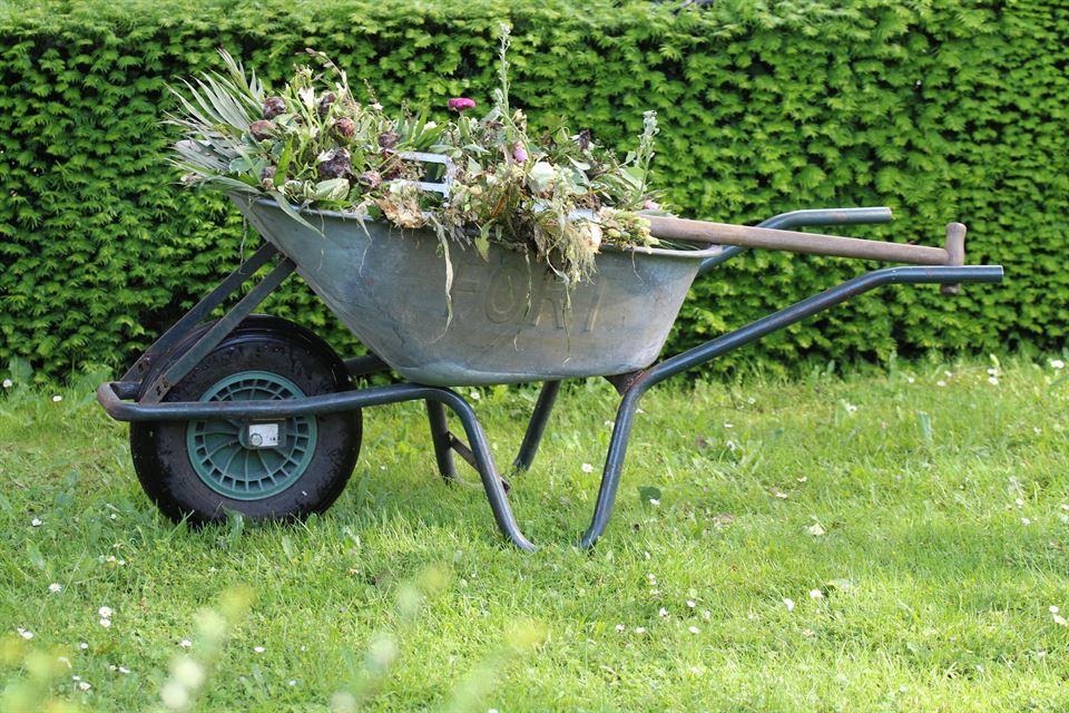 limpiar-cesped-cosas-hacer-para-acondicionar-el-jardin-de-tu-alojamiento-para-el-otoño