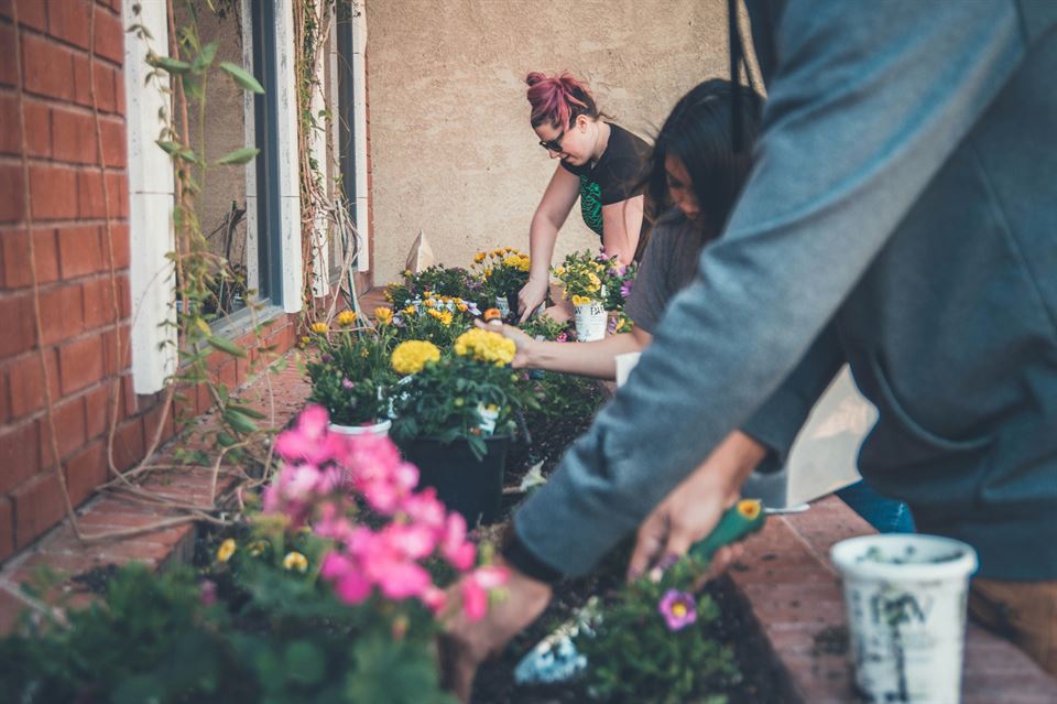 personas-plantando-flores