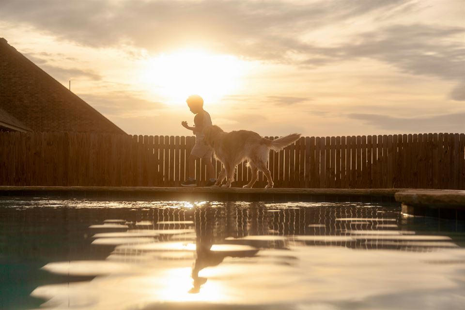 perro-niño-pasean-piscina