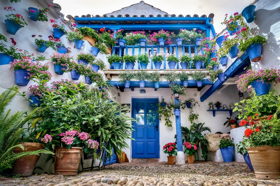 patio-andaluz-flores