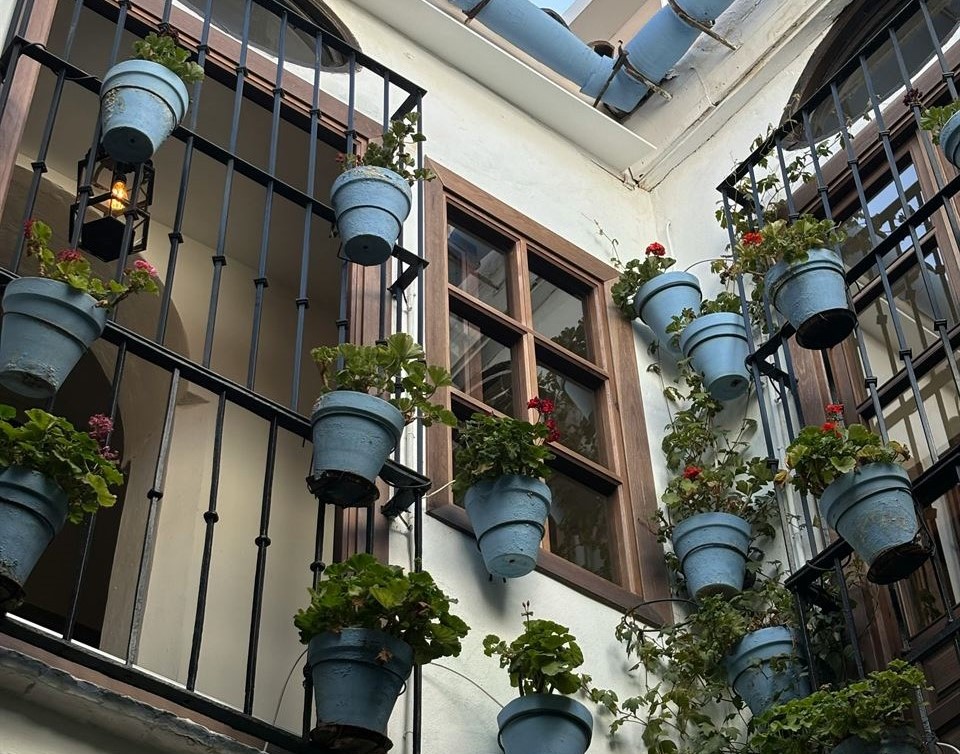 balcon-muchas-flores-convierte-el-balcon-de-tu-alojamiento-en-un-patio-andaluz