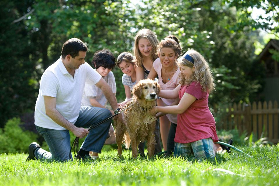 familia-con-niños-lavan-su-perro-jardin